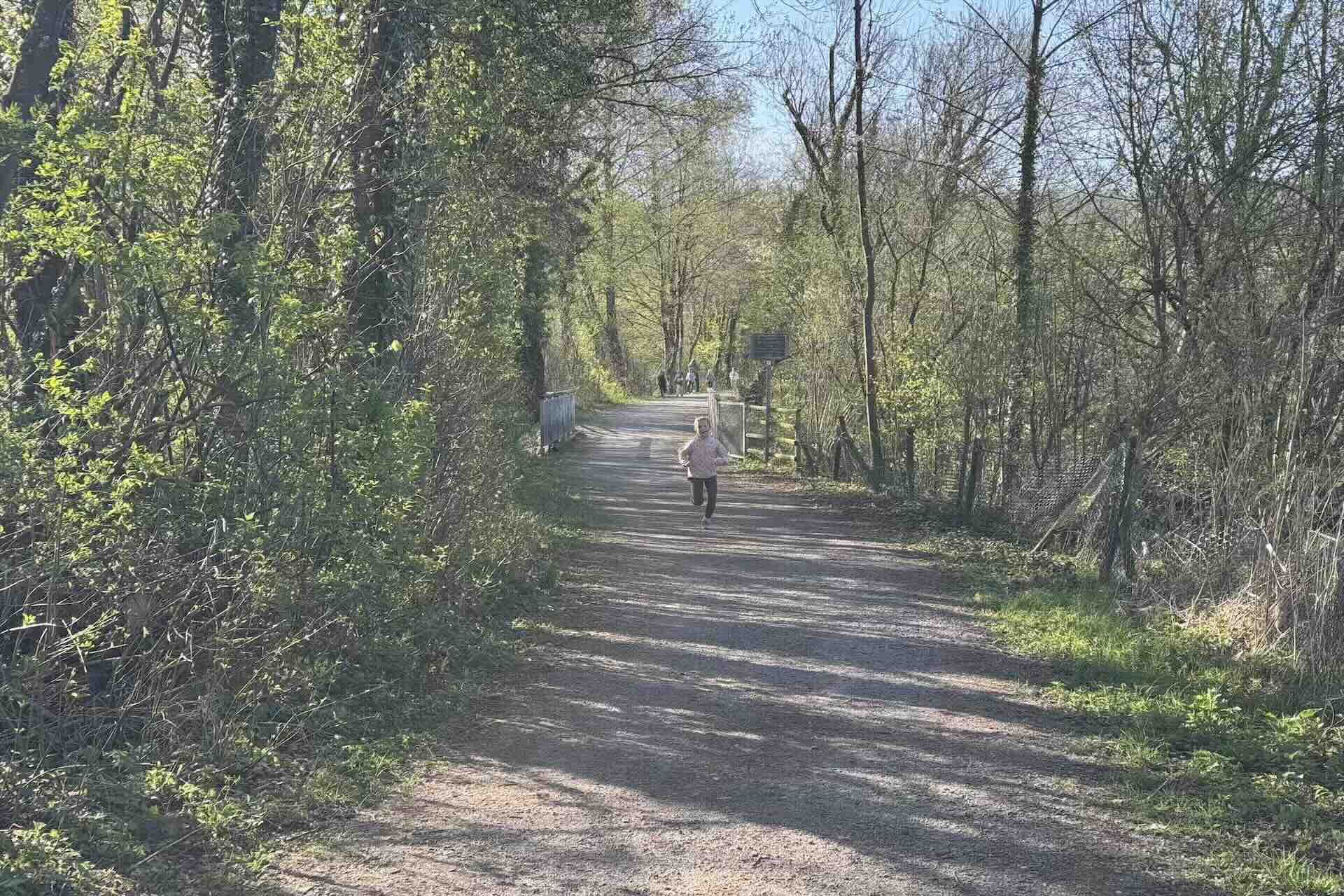 GSUL Qualilauf Minimarathon 2025